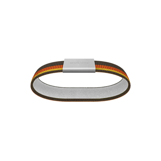 Moneyband